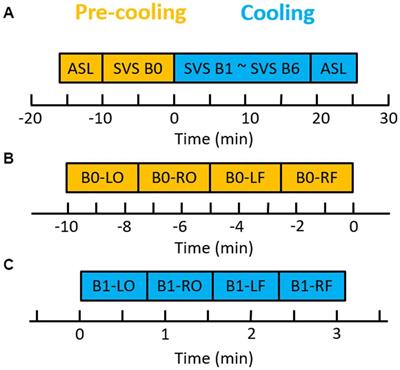 Selective head cooling in the acute phase of concussive injury: a neuroimaging study